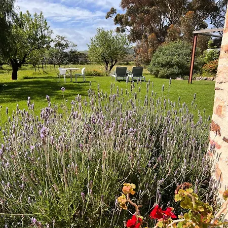 The Old Chaff Mill Organic Vineyard Retreat Bed & Breakfast Sellicks Hill Exterior photo