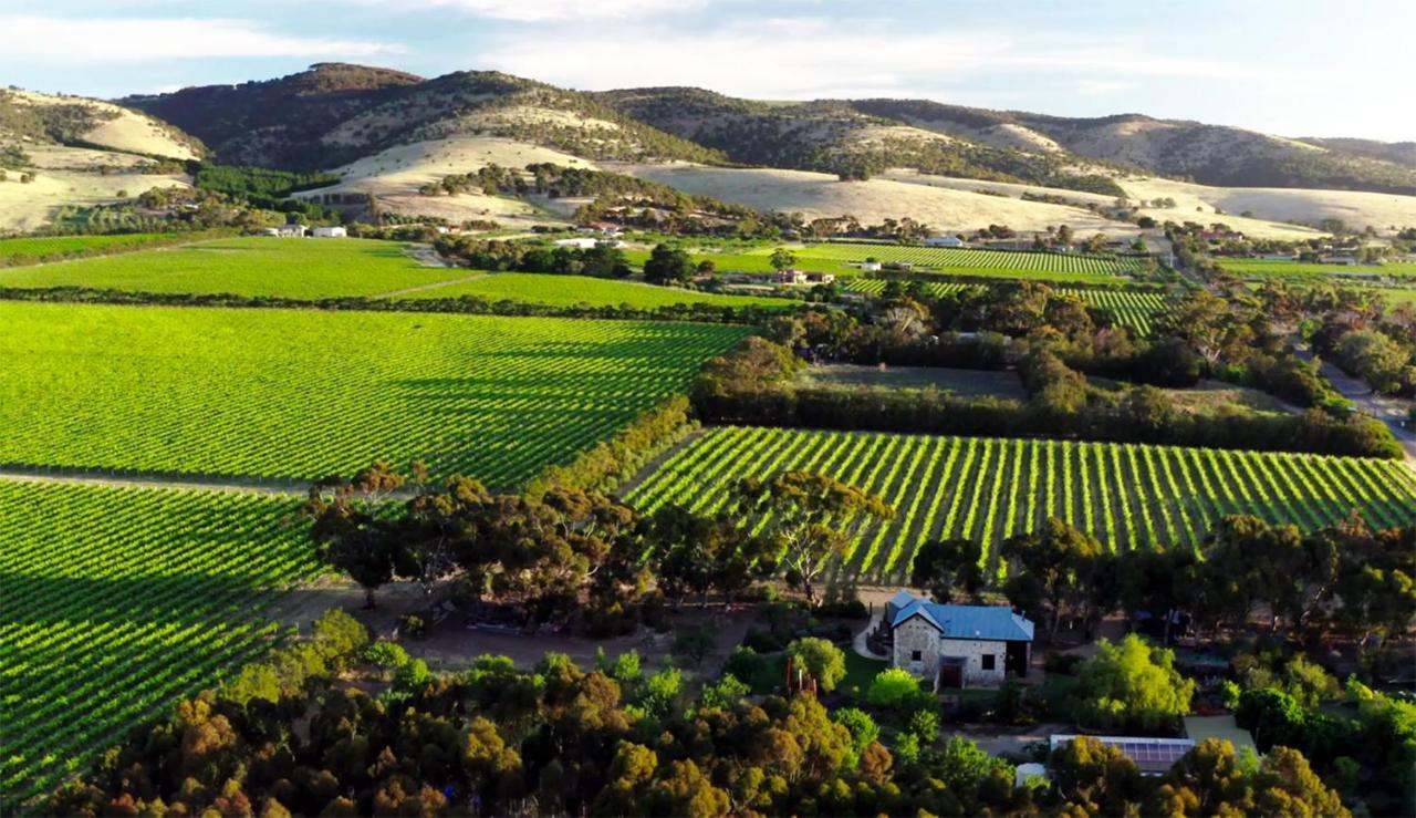 The Old Chaff Mill Organic Vineyard Retreat Bed & Breakfast Sellicks Hill